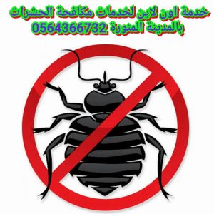 شركة مكافحة حشرات بالمدينة المنورة 