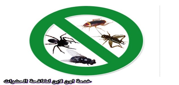 شركة مكافحة حشرات بينبع افضل مبيدات الرش بالمملكة